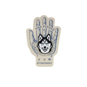 Husky Siberiano